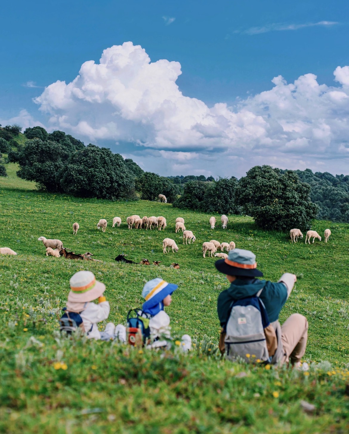 The Value and Significance of Outdoor Play